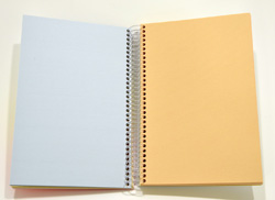 Color-Sketch Rainbow