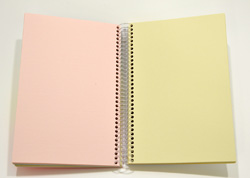 Color-Sketch Rainbow