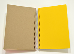 Color-Sketch Rainbow